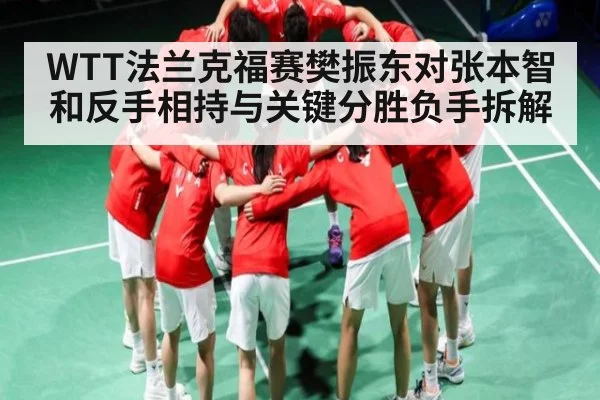 WTT法兰克福赛樊振东对张本智和反手相持与关键分胜负手拆解